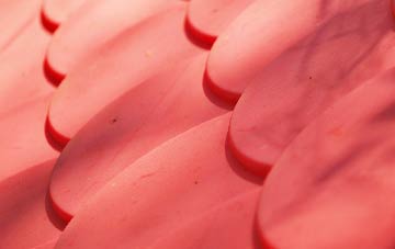 Braddock plastic roof costs