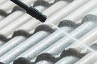 rated Braddock roof cleaning companies